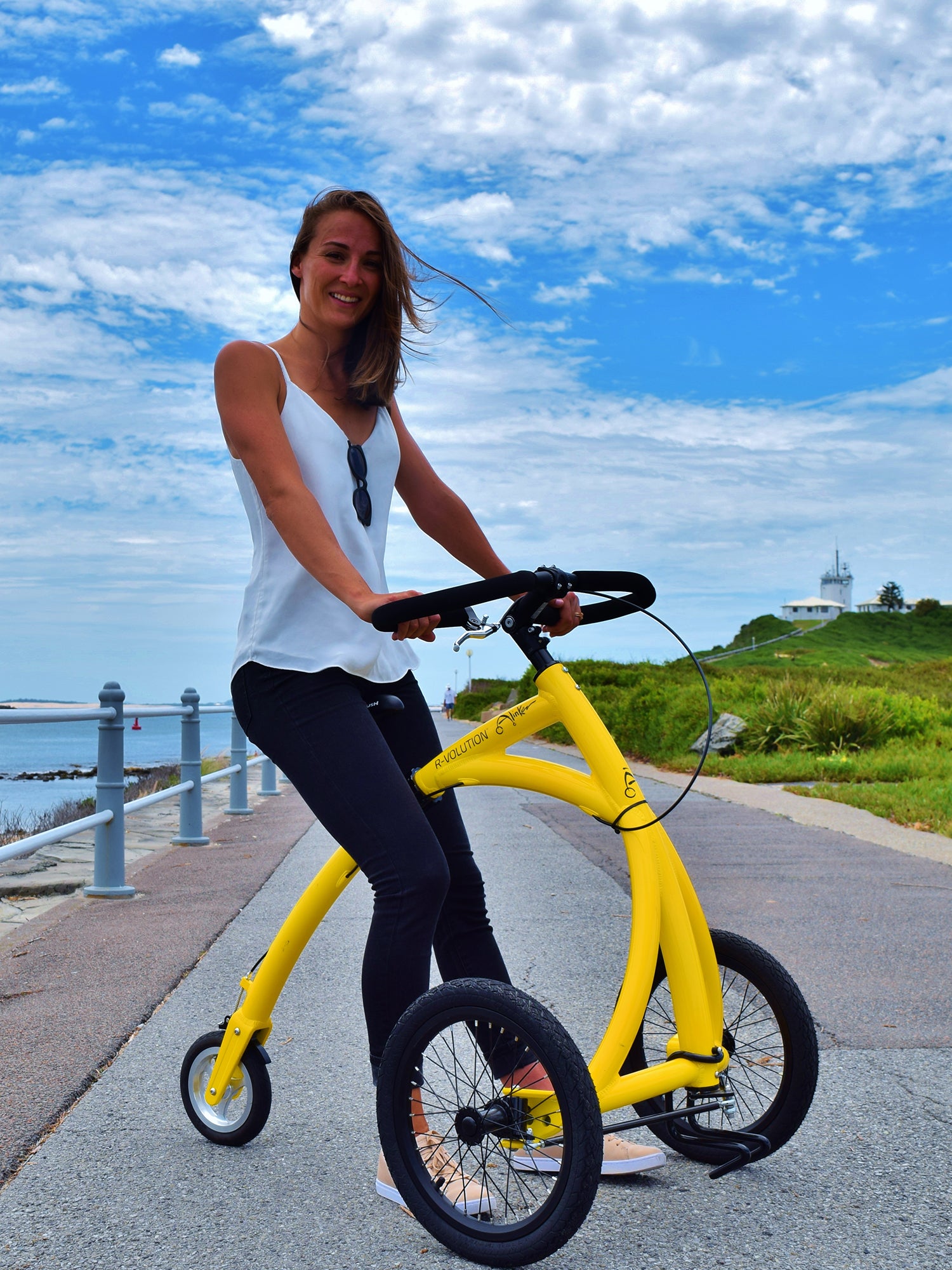 Alinker Bike Walker Bike For Adults Alinker Walking Bike For