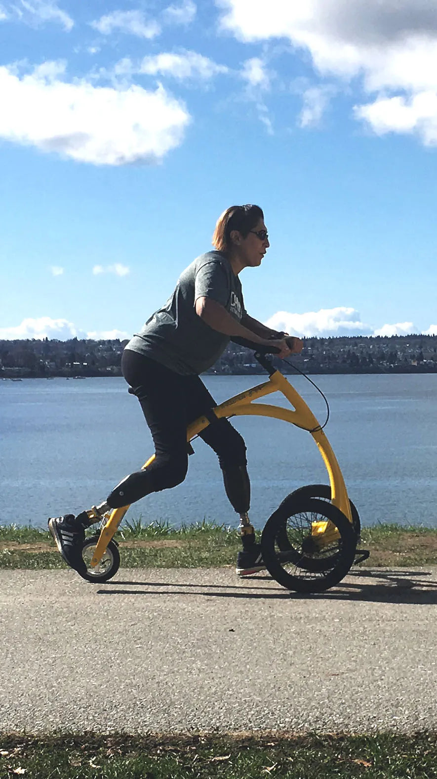The Alinker A radically different walking bike Alinker shop US