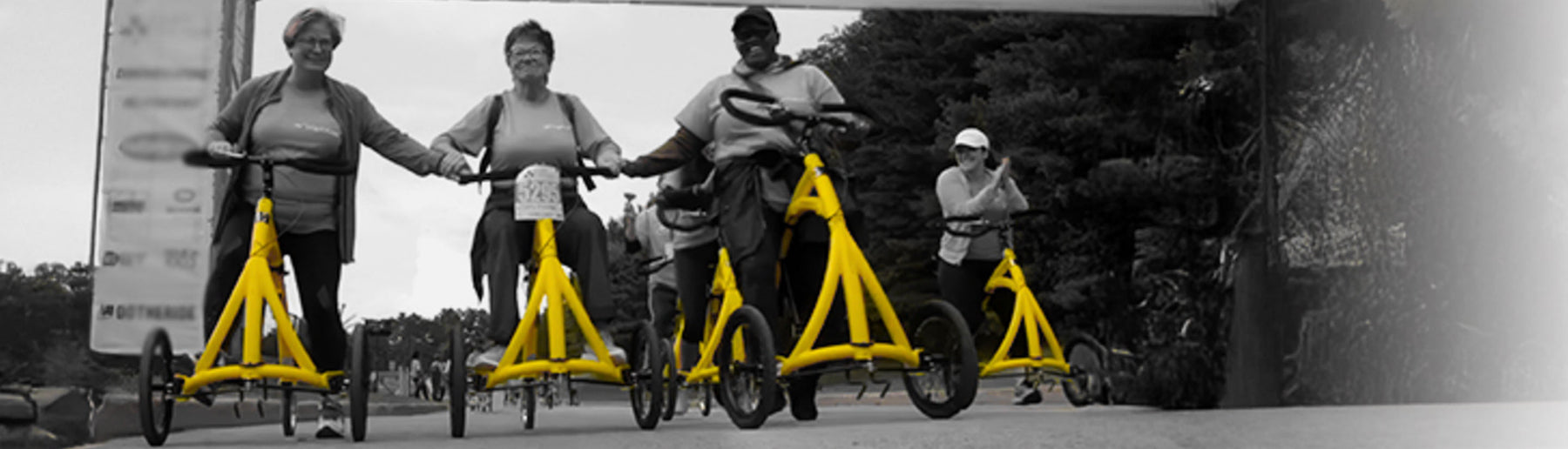 The Alinker - A radically different walking bike - Alinker shop (US)